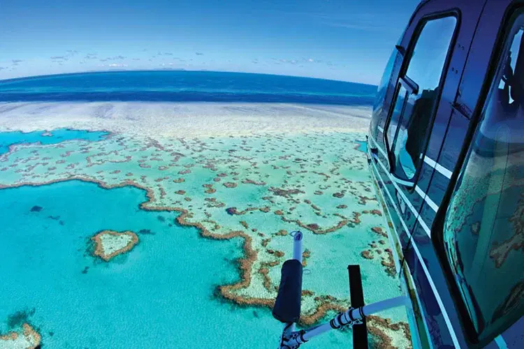 Great-barrier-reef-discovery