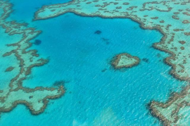 heart-reef-whitehaven-scenic