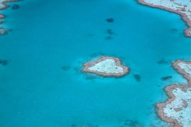 reef-discovery-fly-both-ways